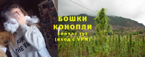 гидропоника Белоозёрский