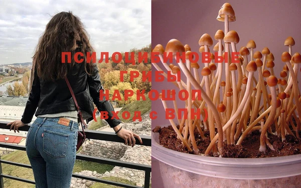 гидропоника Белоозёрский