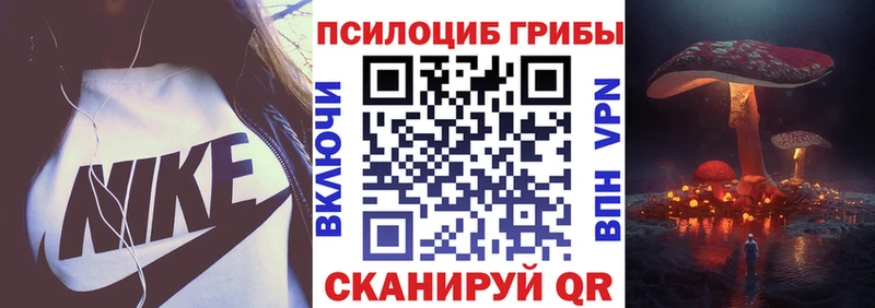 ОМГ ОМГ ССЫЛКА  где купить наркоту  Заволжье  Галлюциногенные грибы прущие грибы 